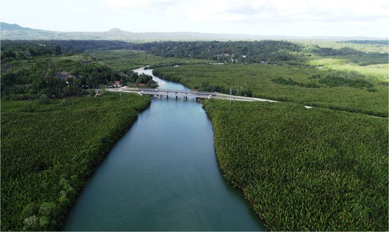 This is Abatan Bridge crossing the lush mangrove forest with the river going upstream. The river tour stretches up to Kawasan Falls which is about 13.5 kilometer-distance. 