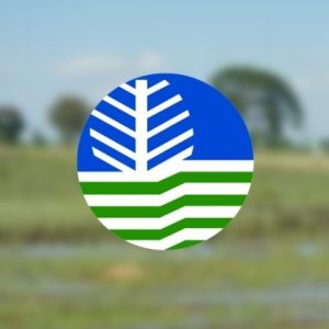 DENR7 spearheads massive river clean-up in C.Visayas