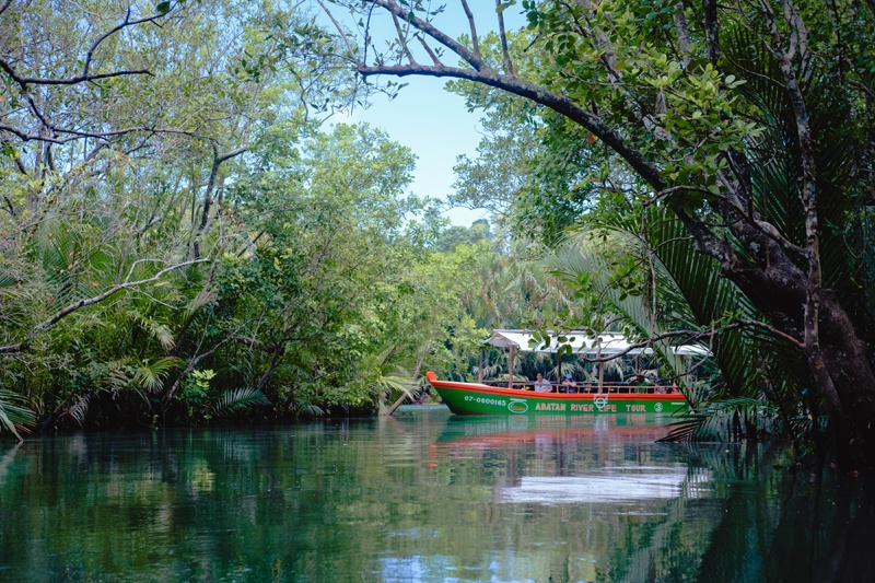 The century-old postan forest where the roots formation of the mangroves serve as the natural barrier of siltation.