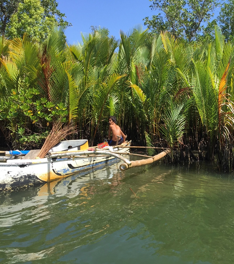 Nipa is one of the abundant mangrove species in Abatan River. Nipa leaves harvesting and weaving as one of the main sources of livelihood in the Abatan River communities.